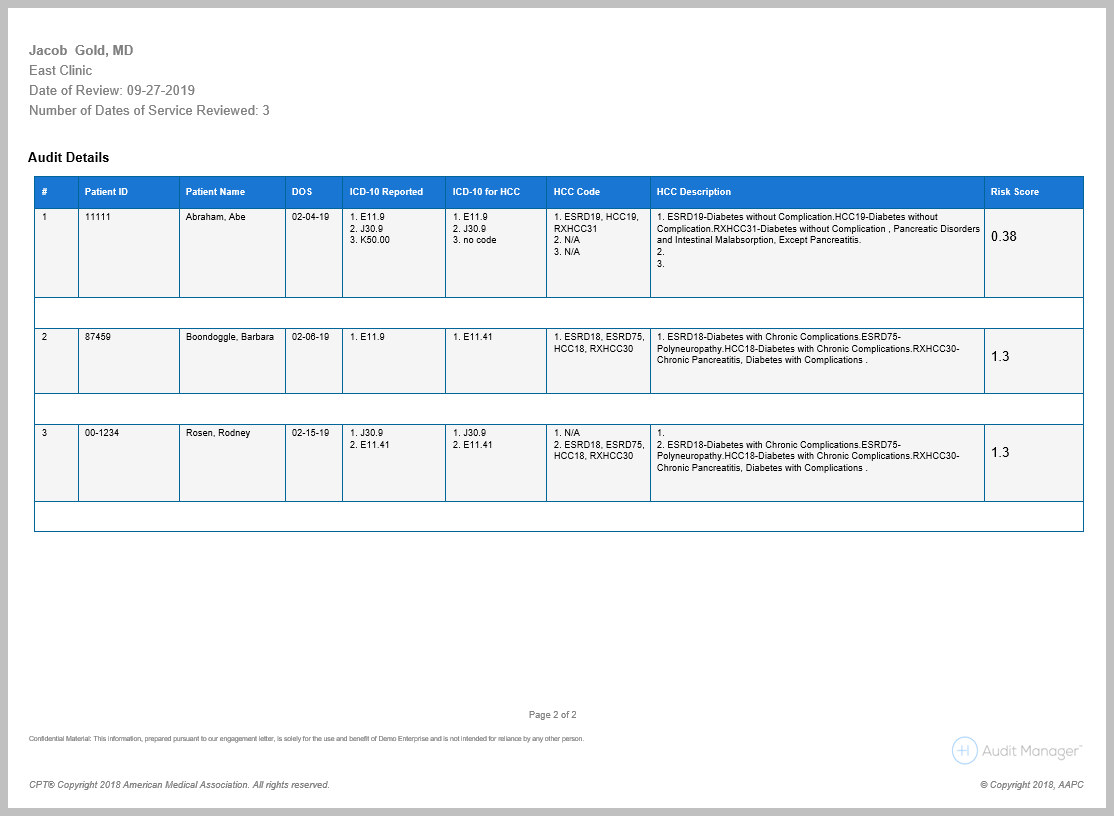 HCC Risk Auditing Setup and Workflow Guide – Healthicity Support