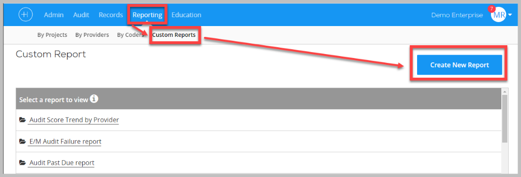 Auditor Productivity Reporting – Healthicity Support